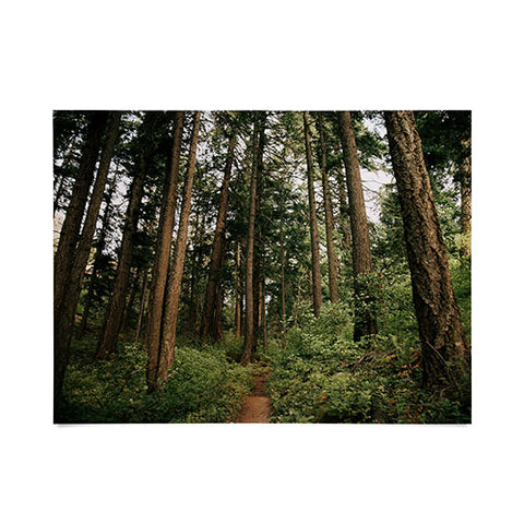 Hannah Kemp Woodland Trail Poster