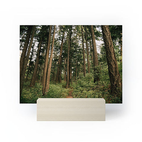 Hannah Kemp Woodland Trail Mini Art Print