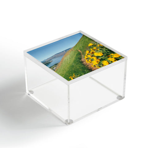 Hannah Kemp Yellow Flower Path Acrylic Box
