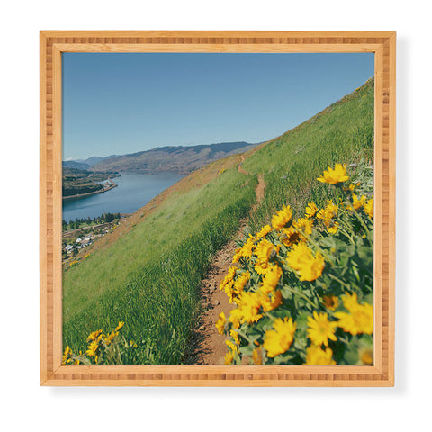 Hannah Kemp Yellow Flower Path Framed Wall Art