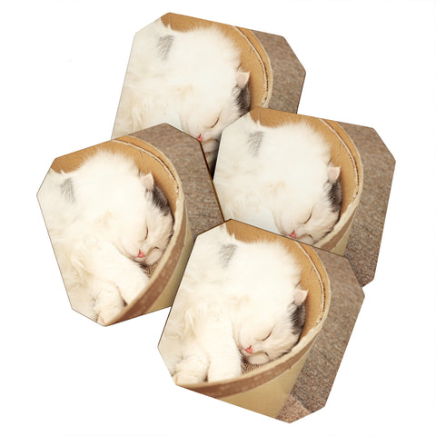 Happee Monkee Cute Sleepy Cat Coaster Set