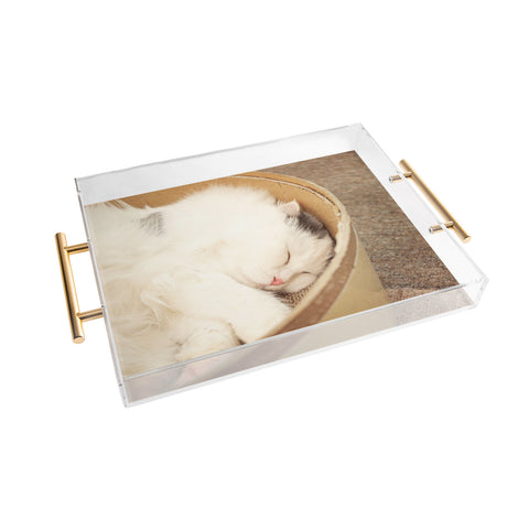 Happee Monkee Cute Sleepy Cat Acrylic Tray