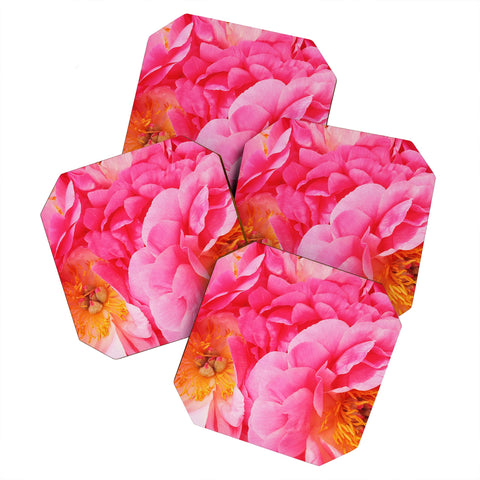 Happee Monkee Hot Pink Peony Coaster Set