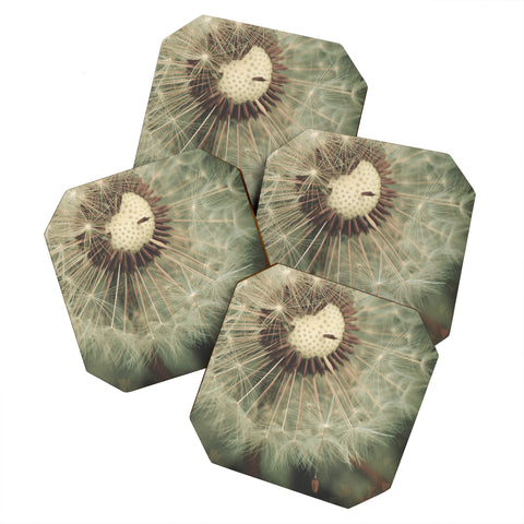 Happee Monkee Lucky Dandelion Coaster Set