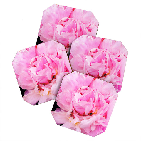 Happee Monkee Pretty Pink Peony Coaster Set