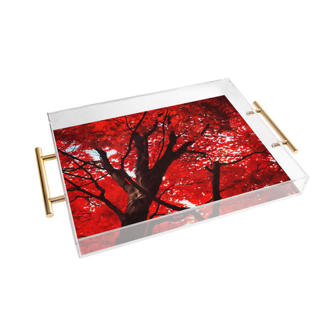 Happee Monkee Red Canopy Acrylic Tray