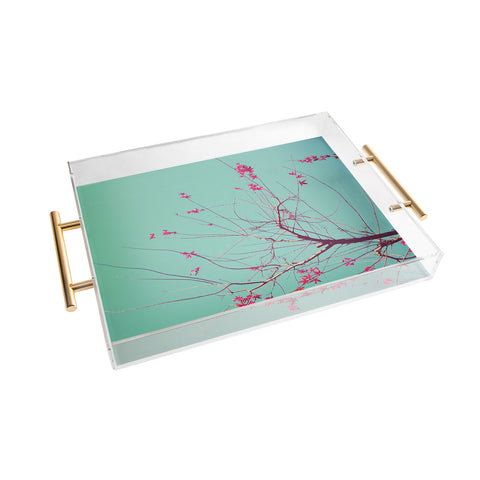 Happee Monkee Red Stars Acrylic Tray