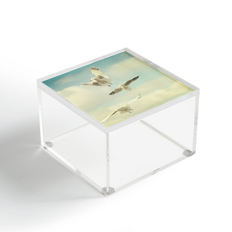 Happee Monkee Seagulls Acrylic Box