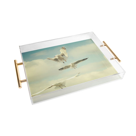 Happee Monkee Seagulls Acrylic Tray