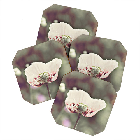 Happee Monkee Violet Poppy Coaster Set