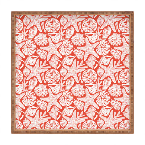 Heather Dutton Ocean Floor Nautical Shells Red Square Tray