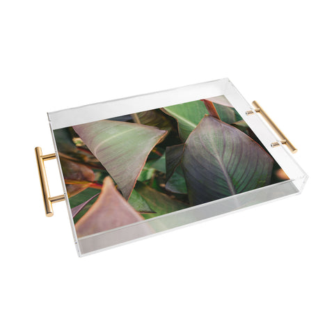 Hello Twiggs Abstract Leaves Acrylic Tray