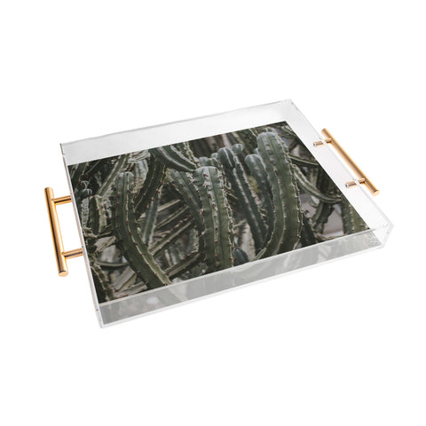 Hello Twiggs Cactus Greenhouse Acrylic Tray
