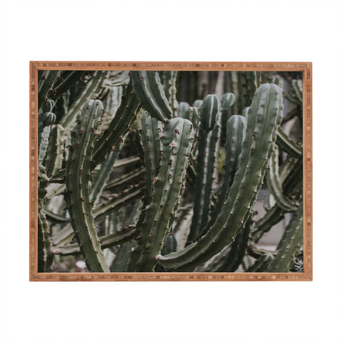 Hello Twiggs Cactus Greenhouse Rectangular Tray