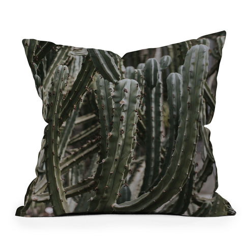 Hello Twiggs Cactus Greenhouse Throw Pillow