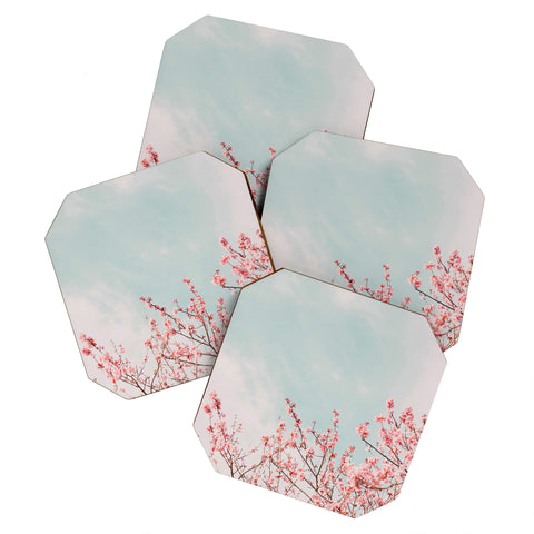 Hello Twiggs Cotton Candy II Coaster Set