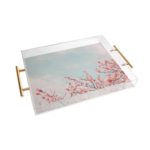 Hello Twiggs Cotton Candy II Acrylic Tray