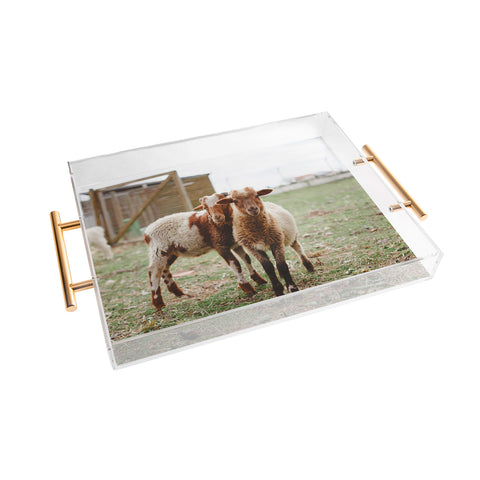 Hello Twiggs Counting Sheep Acrylic Tray