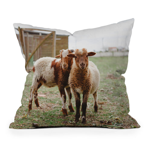 Hello Twiggs Counting Sheep Outdoor Throw Pillow