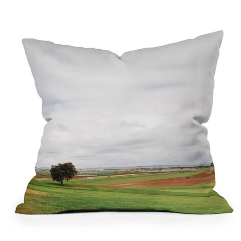 Hello Twiggs Country Field Outdoor Throw Pillow