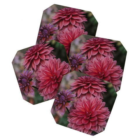 Hello Twiggs Dark Pink Dahlias Coaster Set