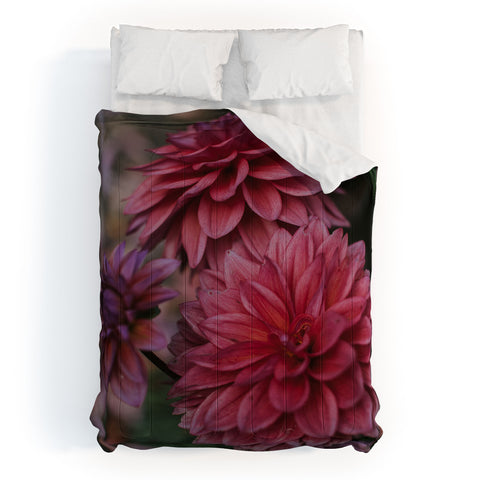 Hello Twiggs Dark Pink Dahlias Comforter
