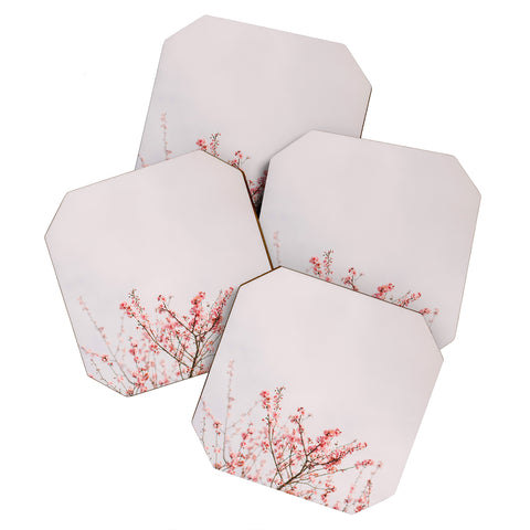 Hello Twiggs Dreamy Spring Coaster Set