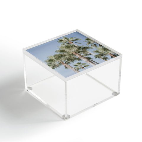 Hello Twiggs Five Palm Trees Acrylic Box