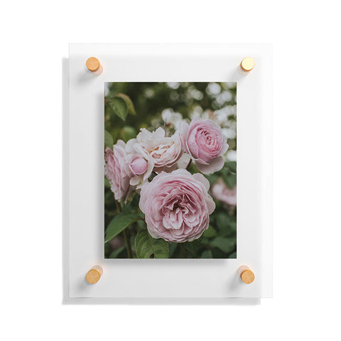 Hello Twiggs Gentle Rose Floating Acrylic Print