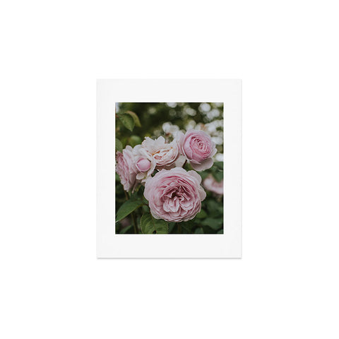 Hello Twiggs Gentle Rose Art Print