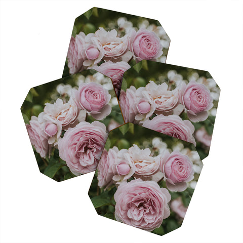 Hello Twiggs Gentle Rose Coaster Set