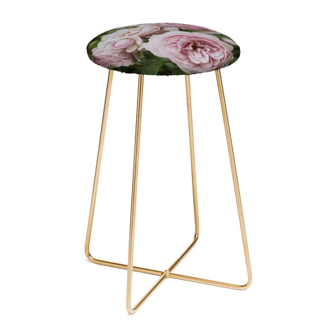 Hello Twiggs Gentle Rose Counter Stool