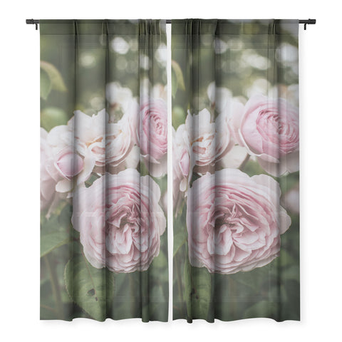 Hello Twiggs Gentle Rose Sheer Non Repeat