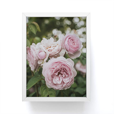 Hello Twiggs Gentle Rose Framed Mini Art Print