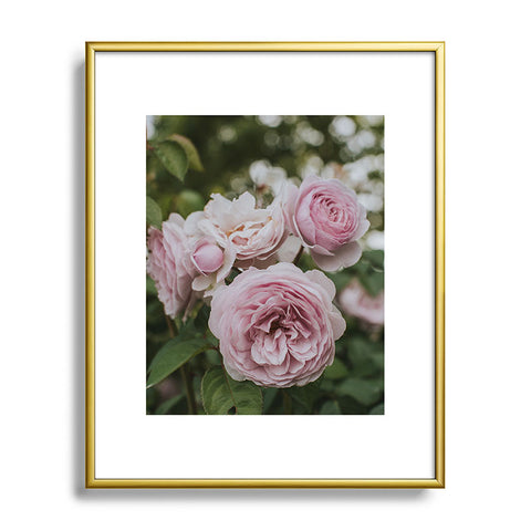 Hello Twiggs Gentle Rose Metal Framed Art Print