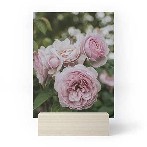 Hello Twiggs Gentle Rose Mini Art Print