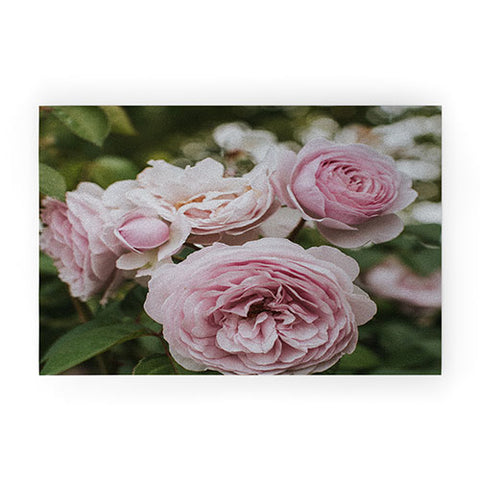 Hello Twiggs Gentle Rose Welcome Mat