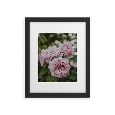 Hello Twiggs Gentle Rose Framed Art Print