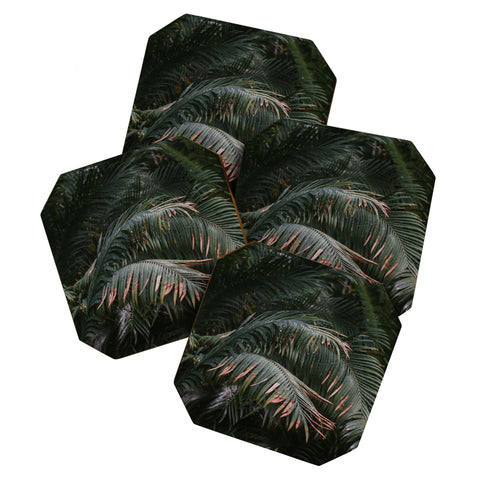 Hello Twiggs Green and Gold Coaster Set