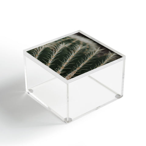 Hello Twiggs Green Cactus Acrylic Box