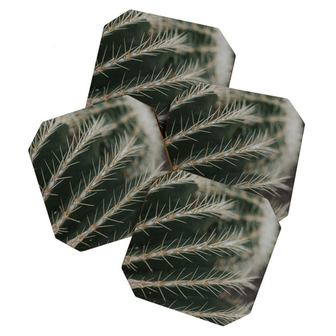 Hello Twiggs Green Cactus Coaster Set