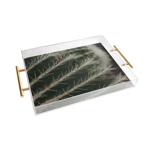 Hello Twiggs Green Cactus Acrylic Tray