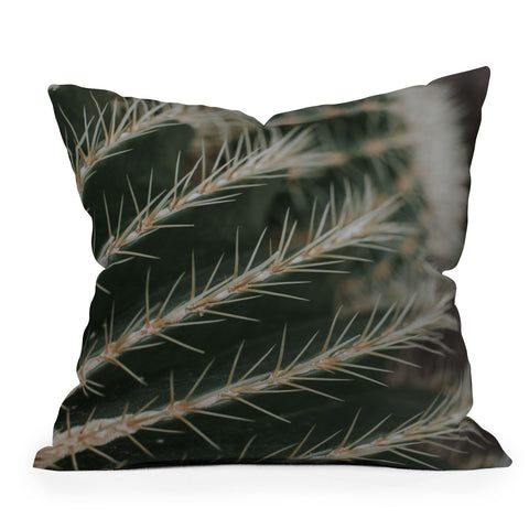 Hello Twiggs Green Cactus Outdoor Throw Pillow
