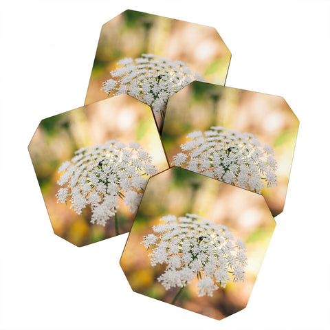 Hello Twiggs Lace Coaster Set