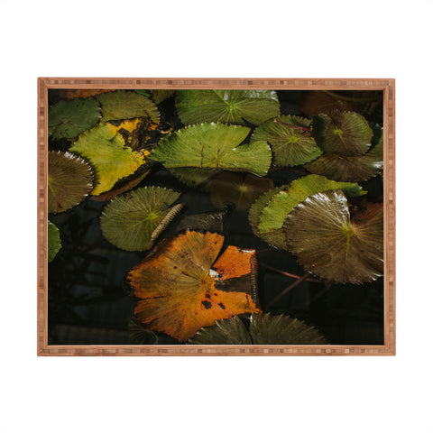 Hello Twiggs Lily Pads Rectangular Tray