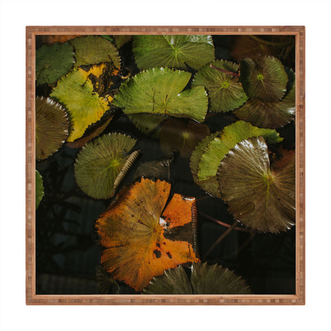 Hello Twiggs Lily Pads Square Tray