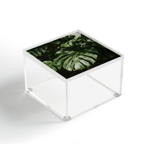 Hello Twiggs Monstera Leaves Acrylic Box