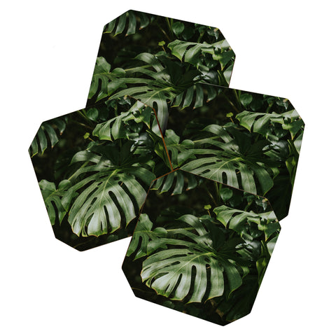 Hello Twiggs Monstera Leaves Coaster Set