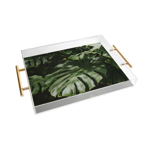Hello Twiggs Monstera Leaves Acrylic Tray