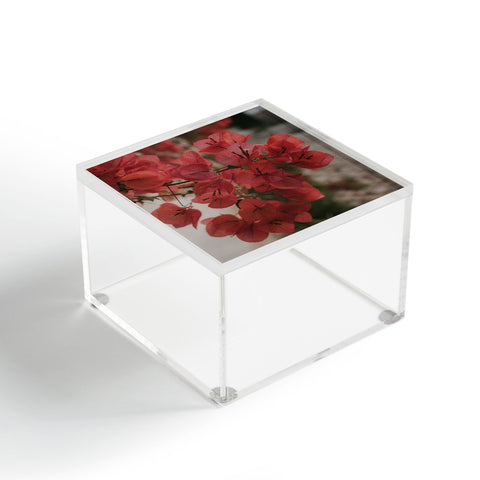 Hello Twiggs Moody Bougainvilleas Acrylic Box